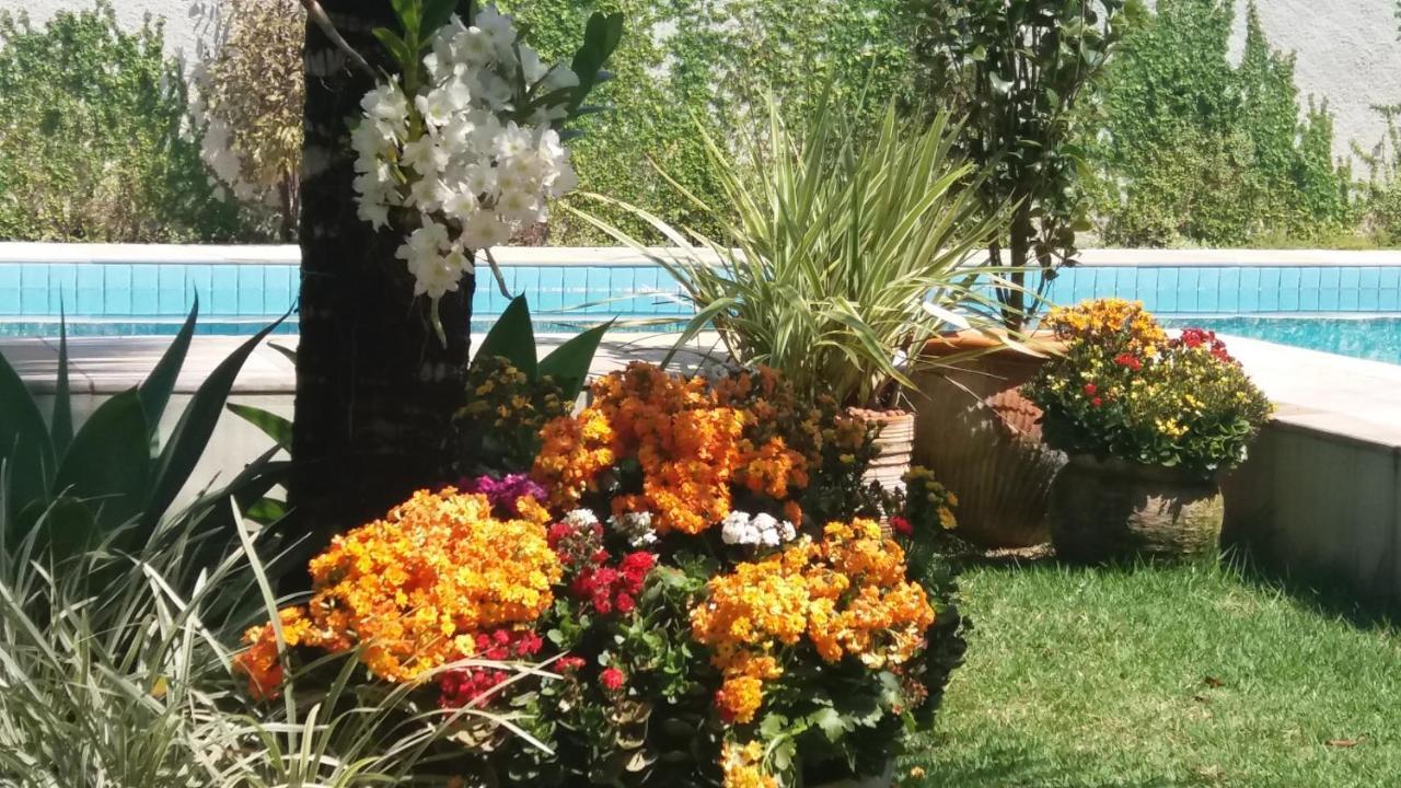Casa Clara パラチ 部屋 写真